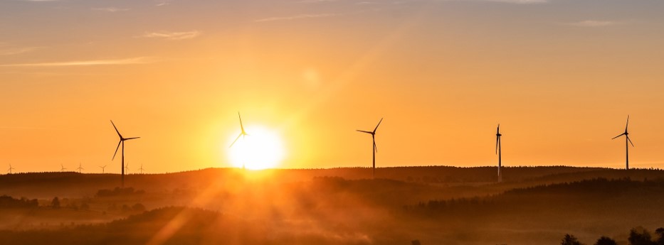 Projekt Windenergie Nordosten bei cupstorys.com